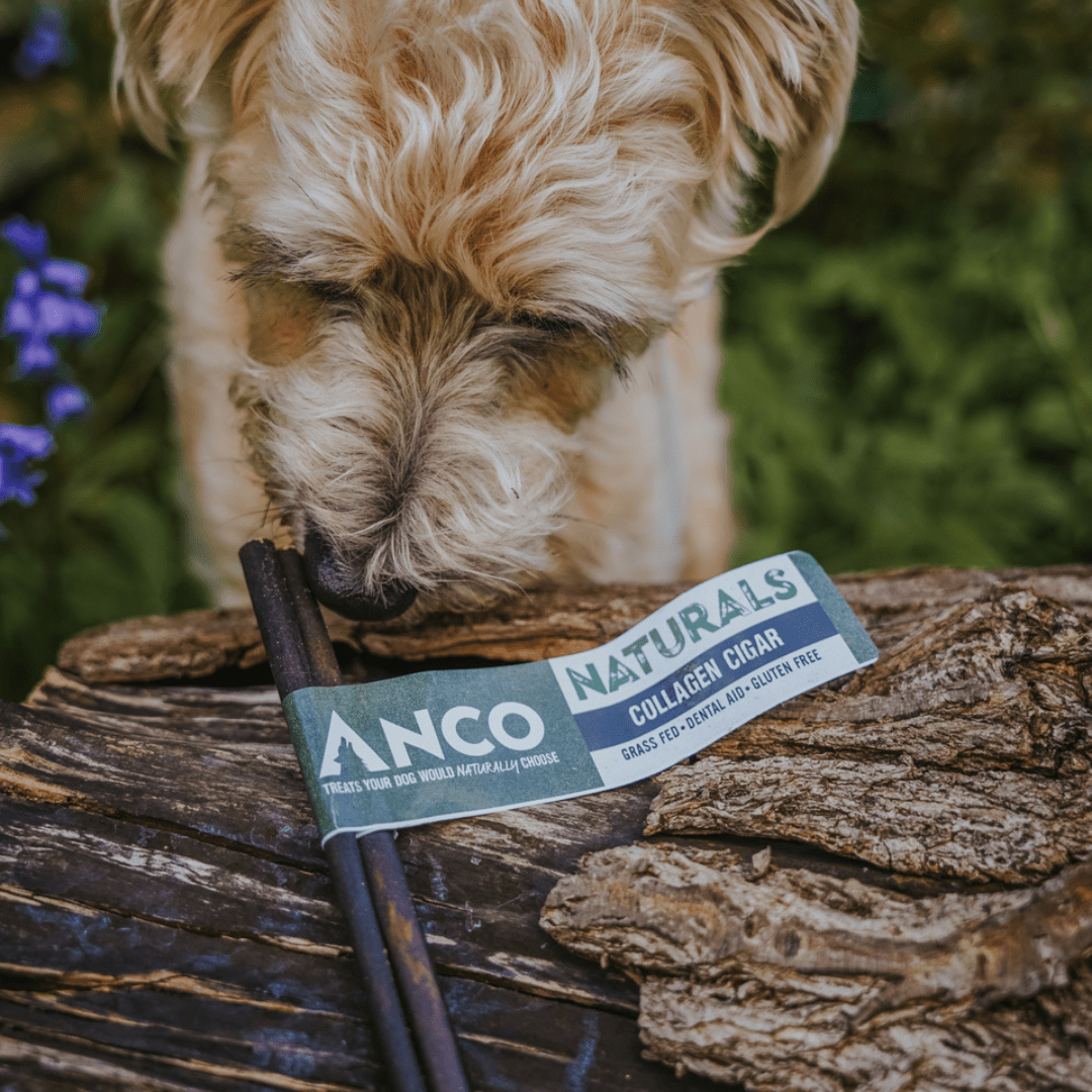 Anco Collagen Cigars